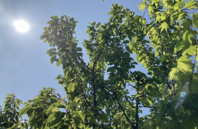 【今週のおたより】