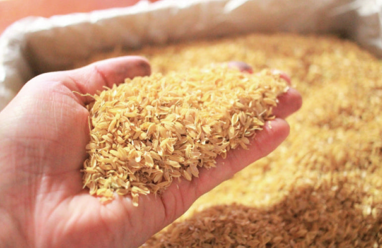 【今週のおたより】