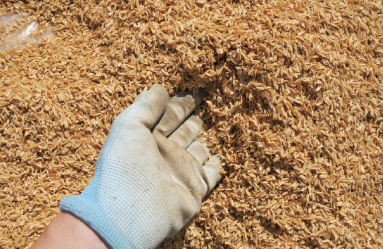 【今週のおたより】