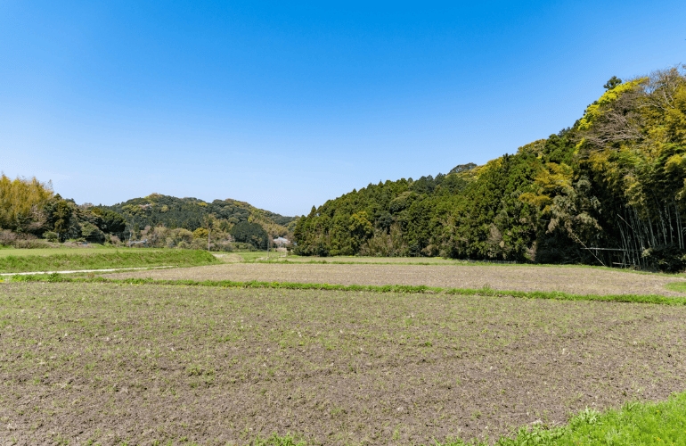 今週のおたより