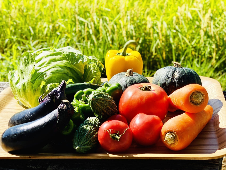 「収量を上げる」ことが最大の経費対策になる！