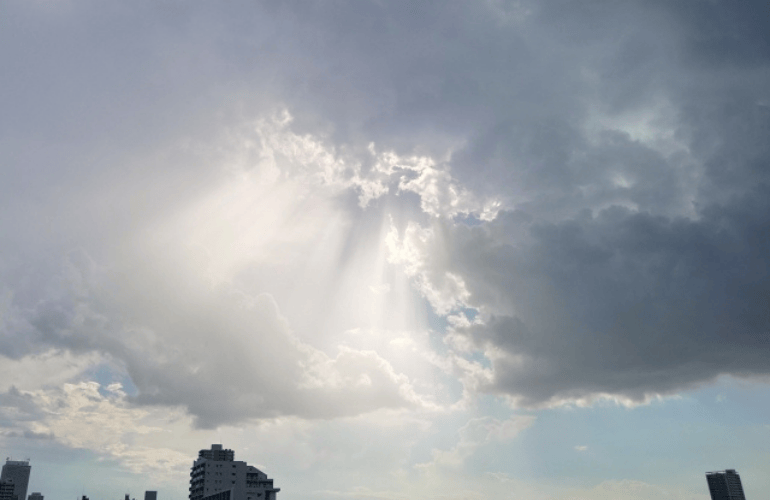 今週のおたより