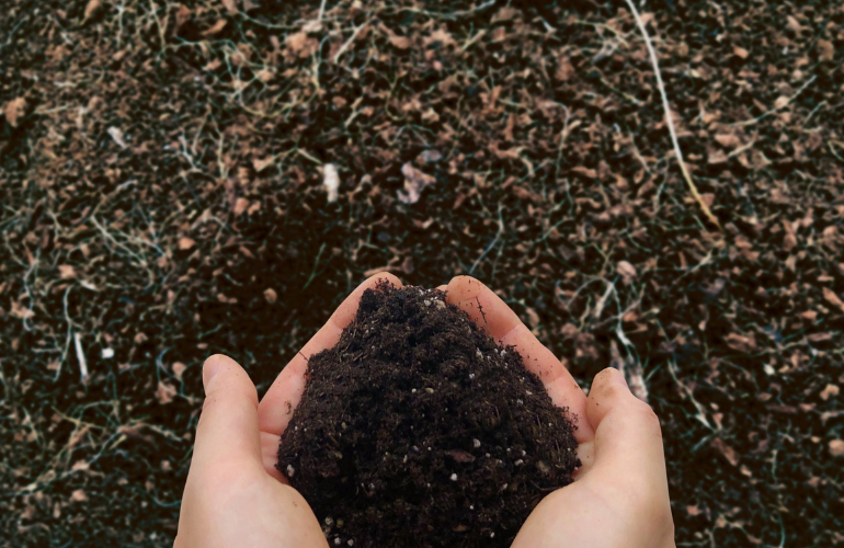雨がいらない時に秋の長雨になるかも…？