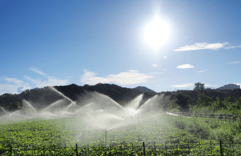 今月のおたより