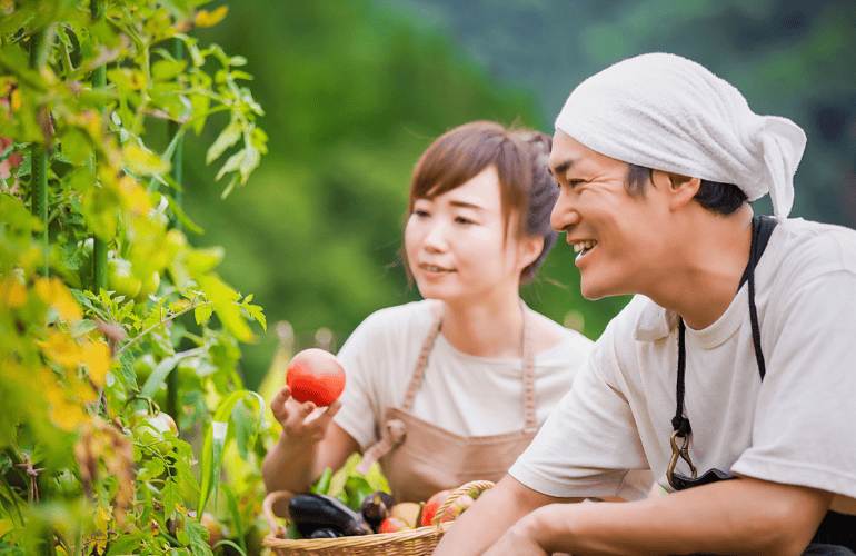 今月のおたより