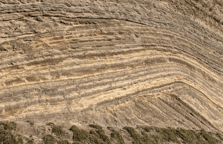 今週のおたより