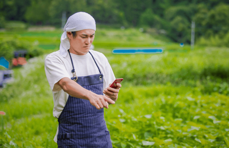 今週のおたより