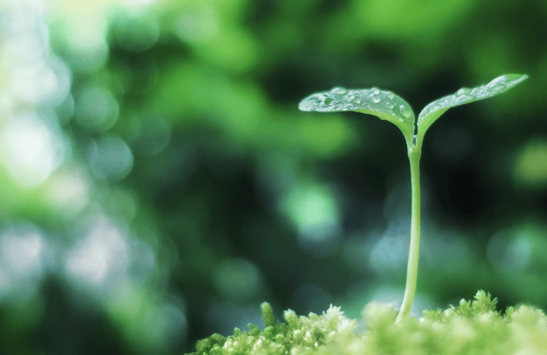 今週のおたより