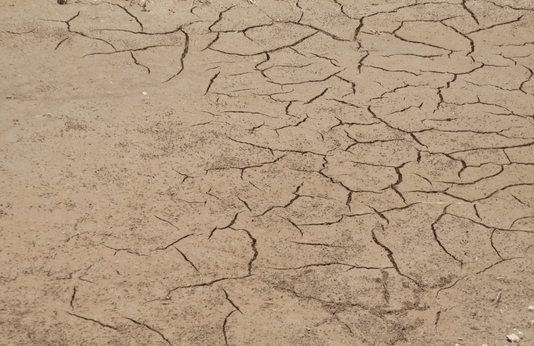 異常な雨不足！「保水力」のある土こそ大切になる！