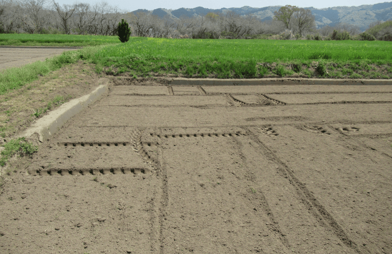 今週のおたより