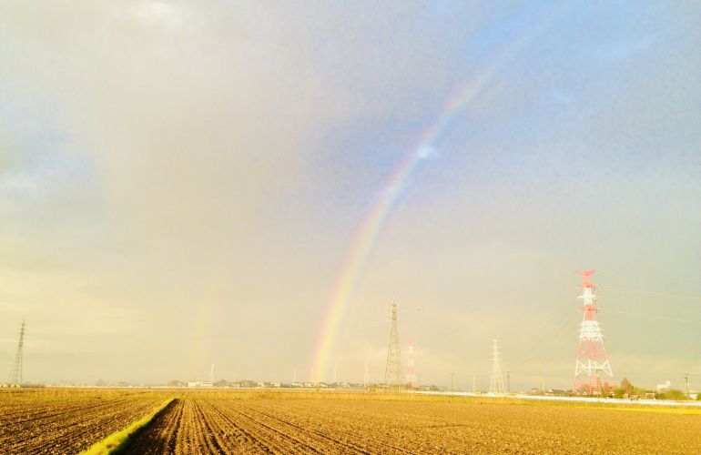 今月のおたより