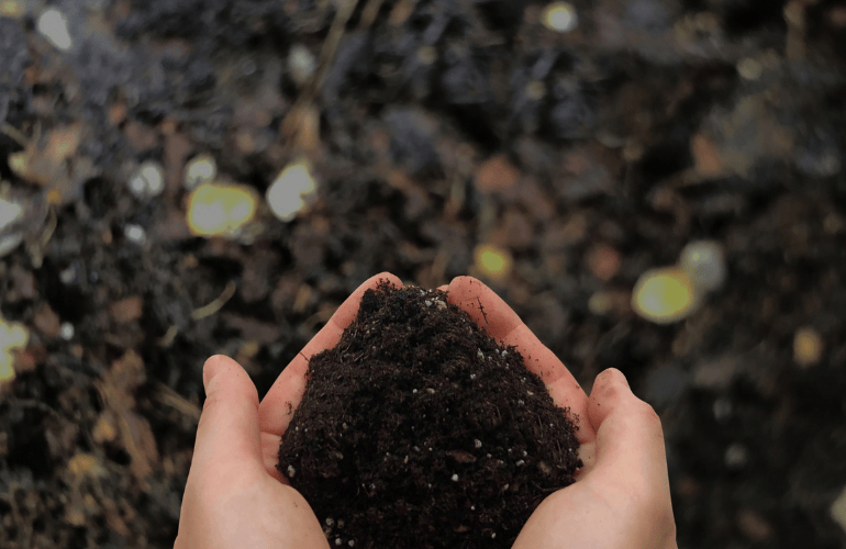 今週のおたより