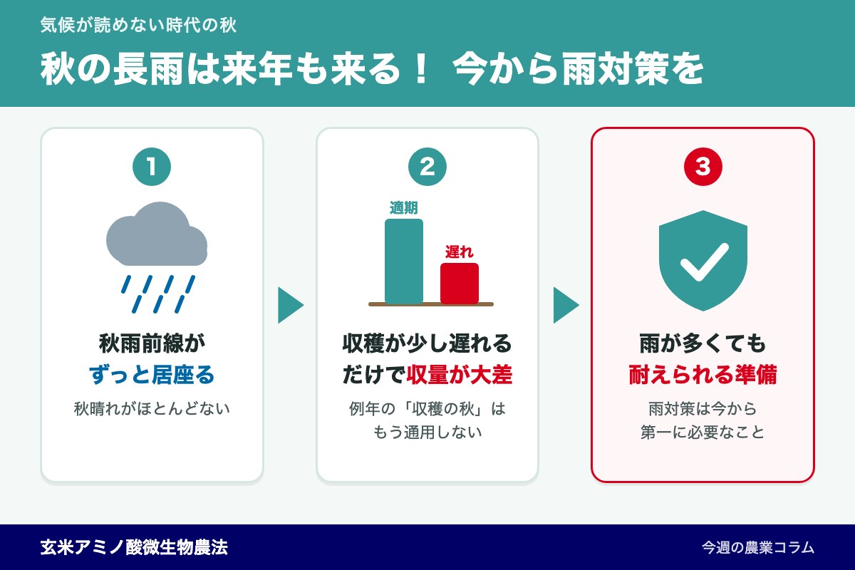 秋の長雨は来年も来る！今から始める雨に強い農業の備え