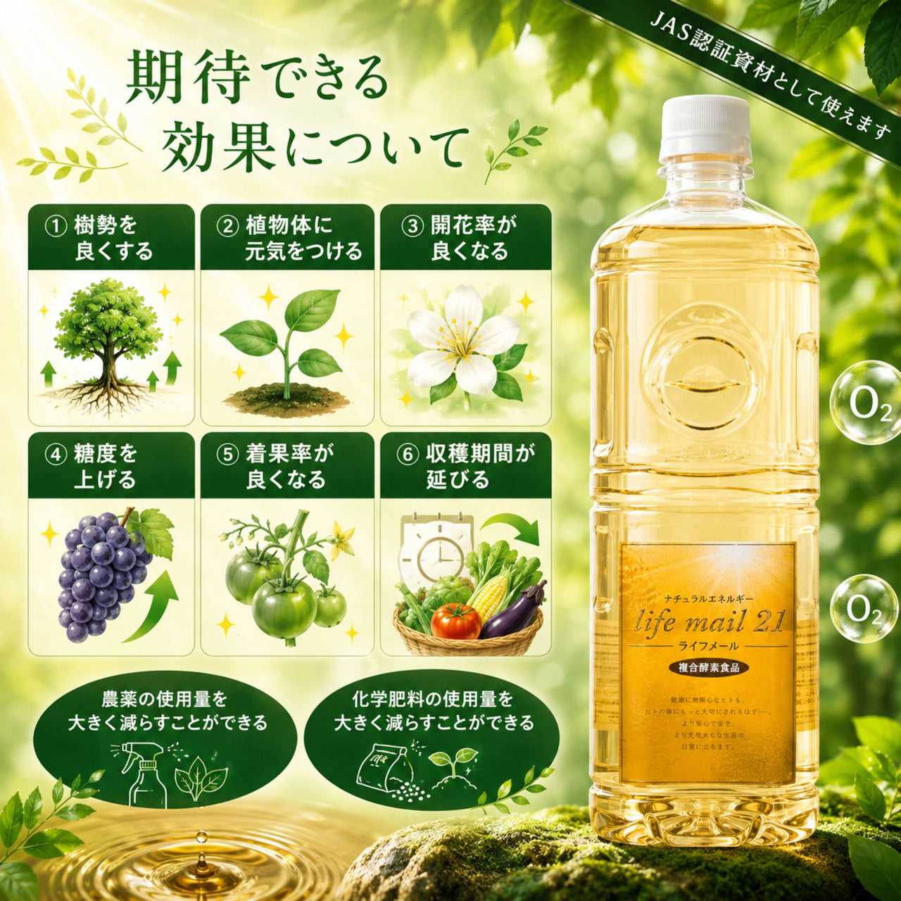 玄米アミノ酸酵素液 1L