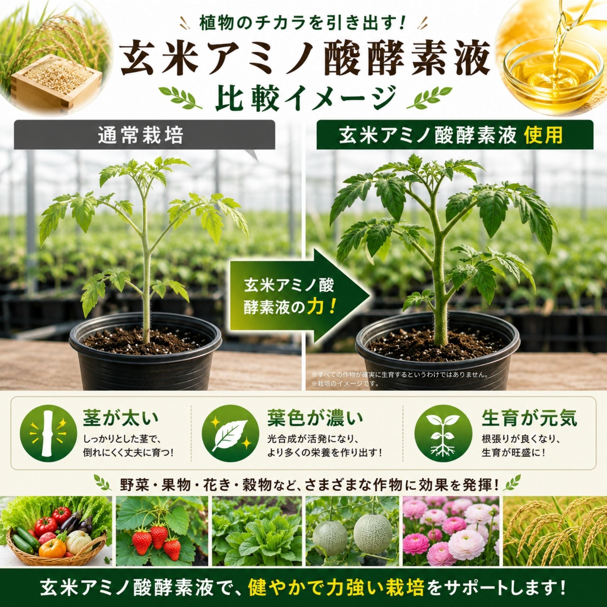 玄米アミノ酸酵素液 1L