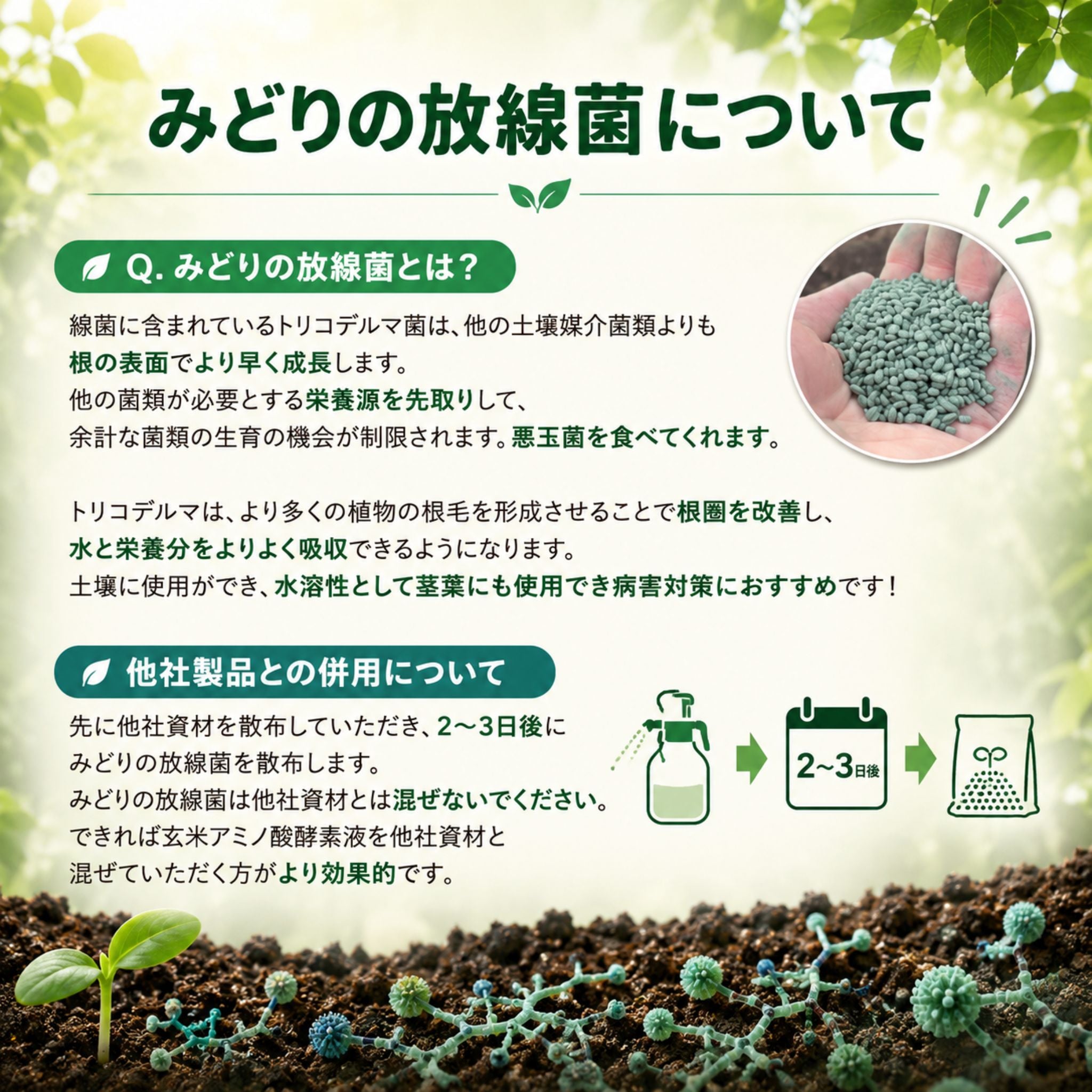 【予約商品】みどりの放線菌 2kg
