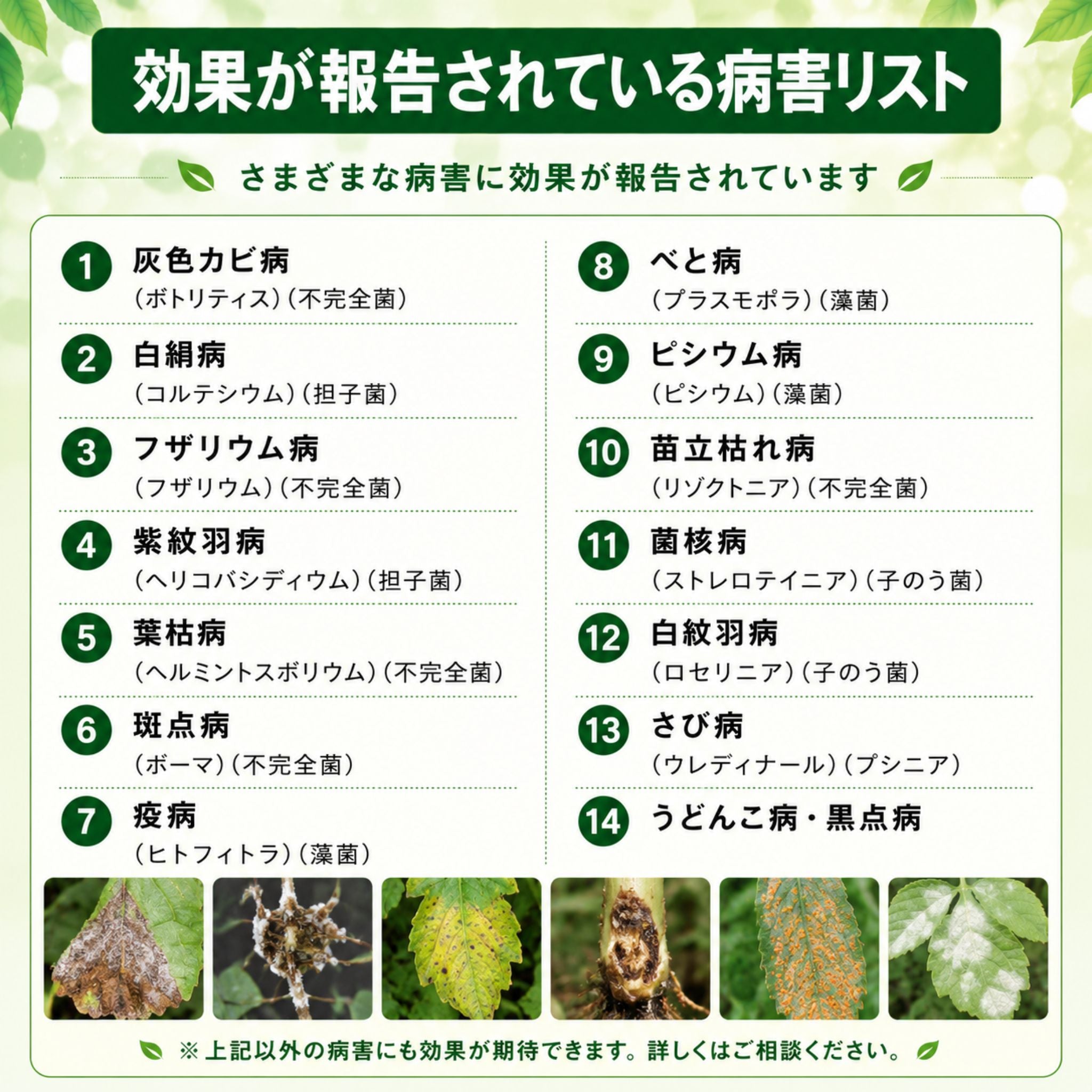 【予約商品】みどりの放線菌 2kg