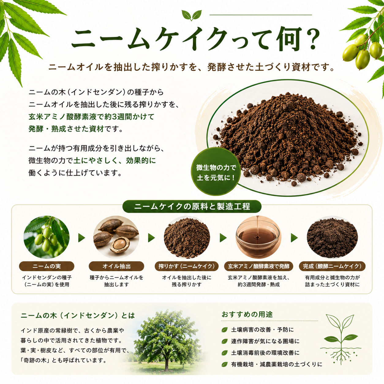 玄米アミノ酸醗酵ニームケイク 3kg