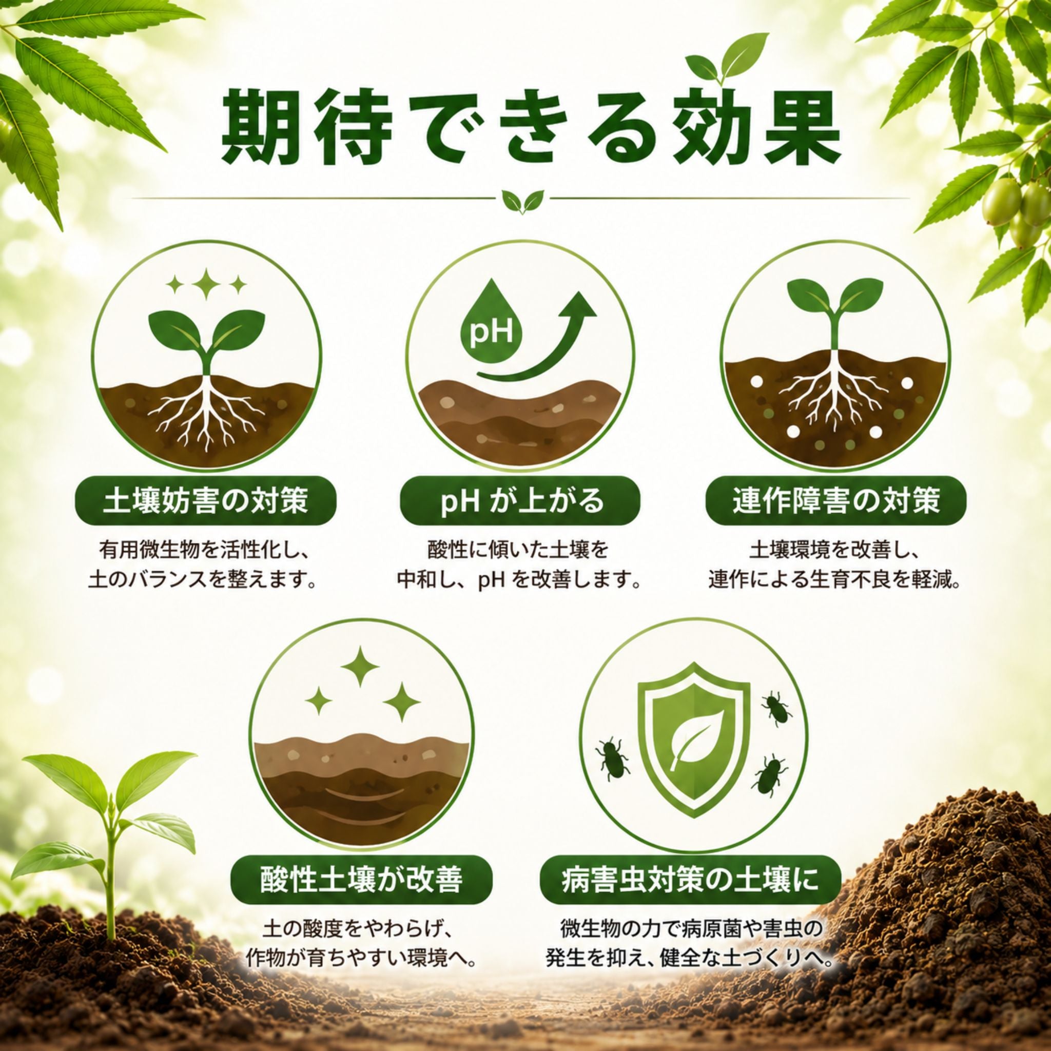 【予約商品】玄米アミノ酸醗酵ニームケイク 3kg