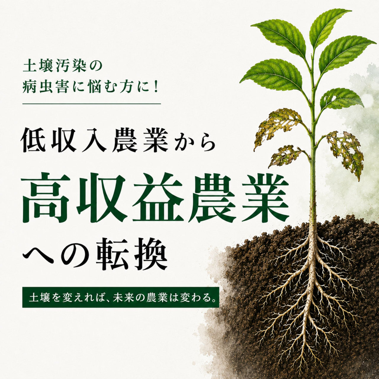 【有料資料】土壌汚染の病虫害に悩む方に！