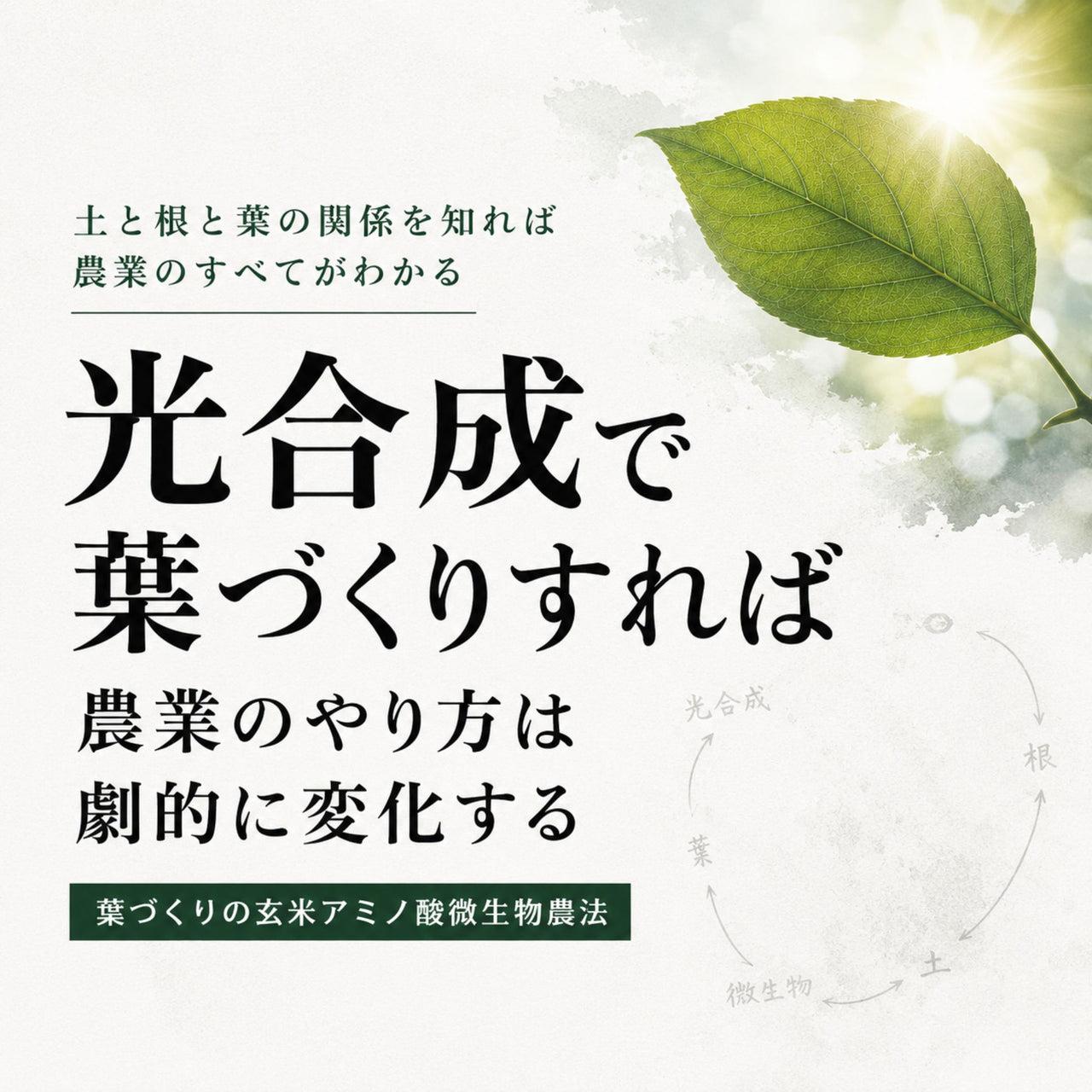 【有料資料】光合成で葉づくりすれば農業のやり方は劇的に変化する