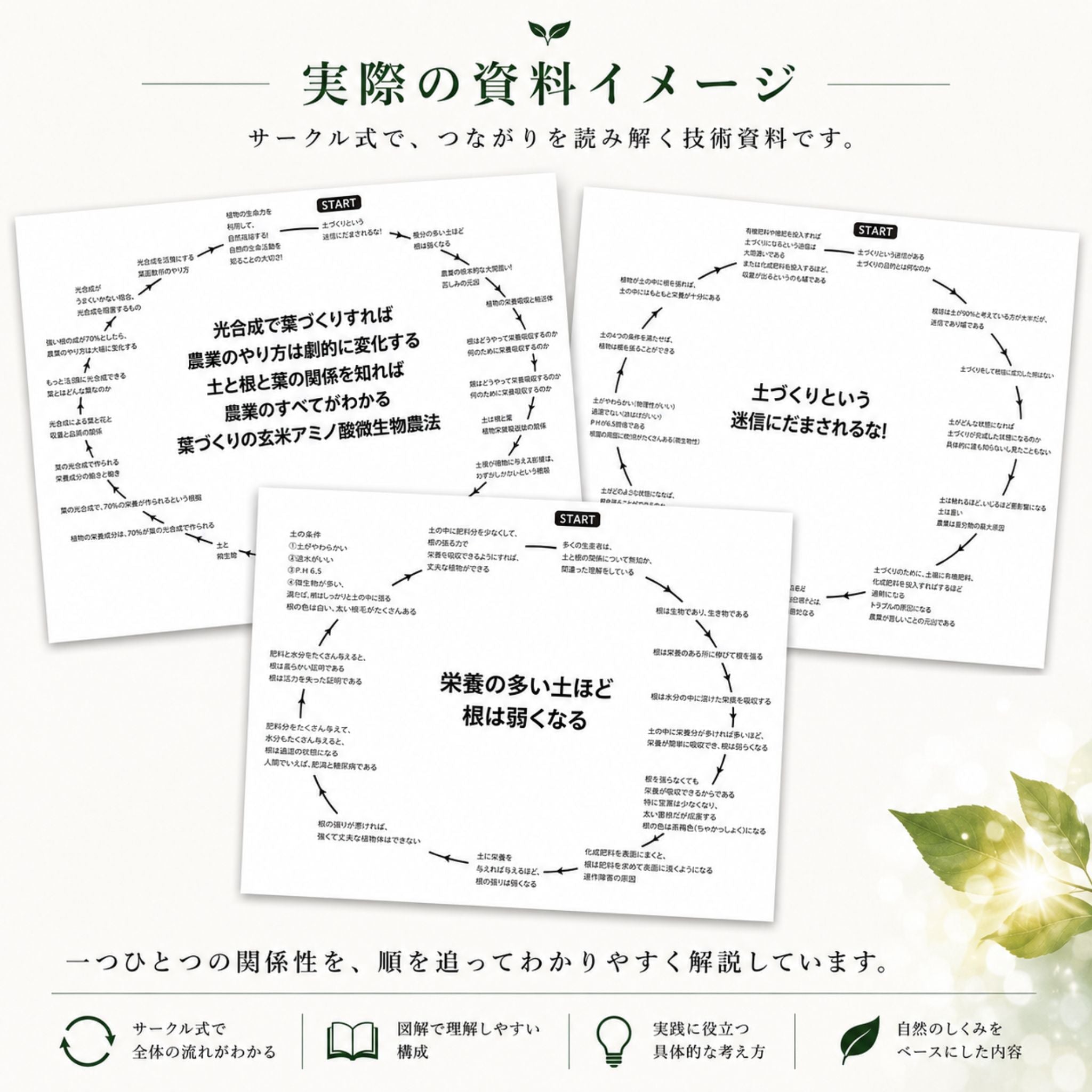 【有料資料】光合成で葉づくりすれば農業のやり方は劇的に変化する