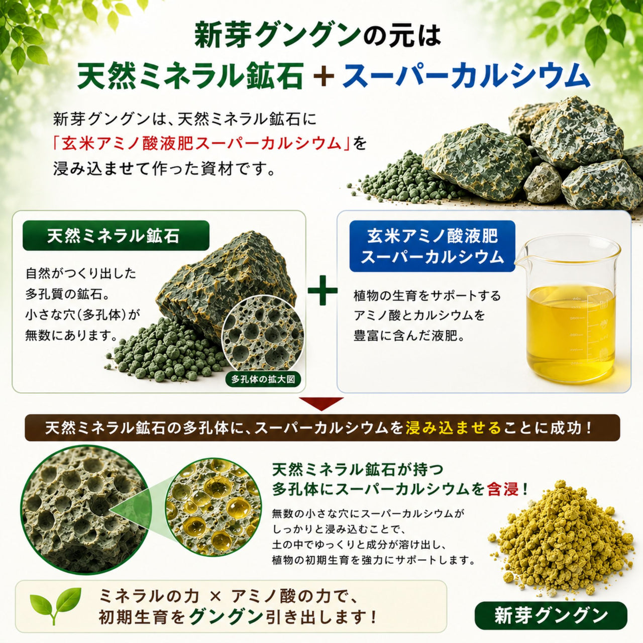 新芽グングン 1kg