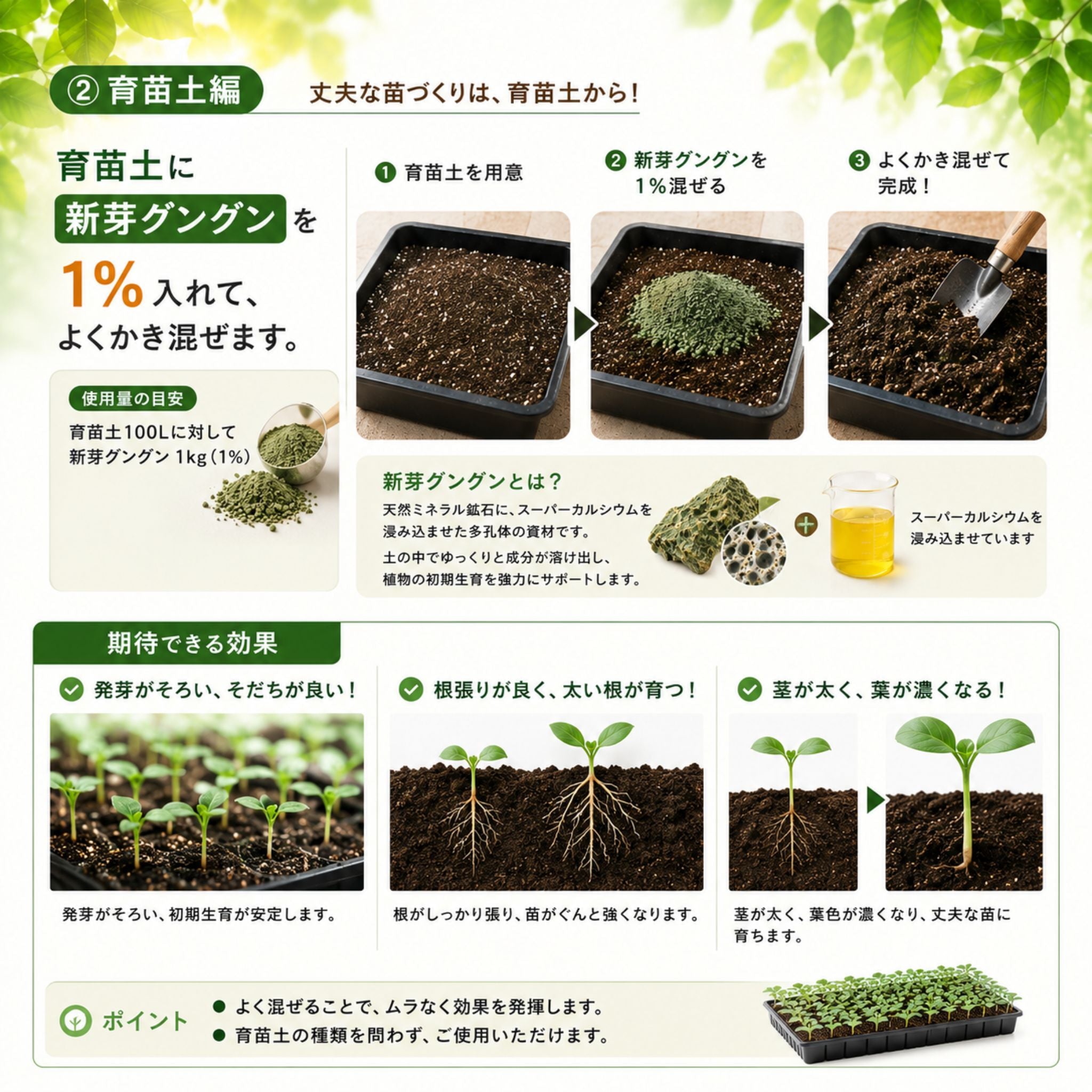 【予約商品】新芽グングン 5kg