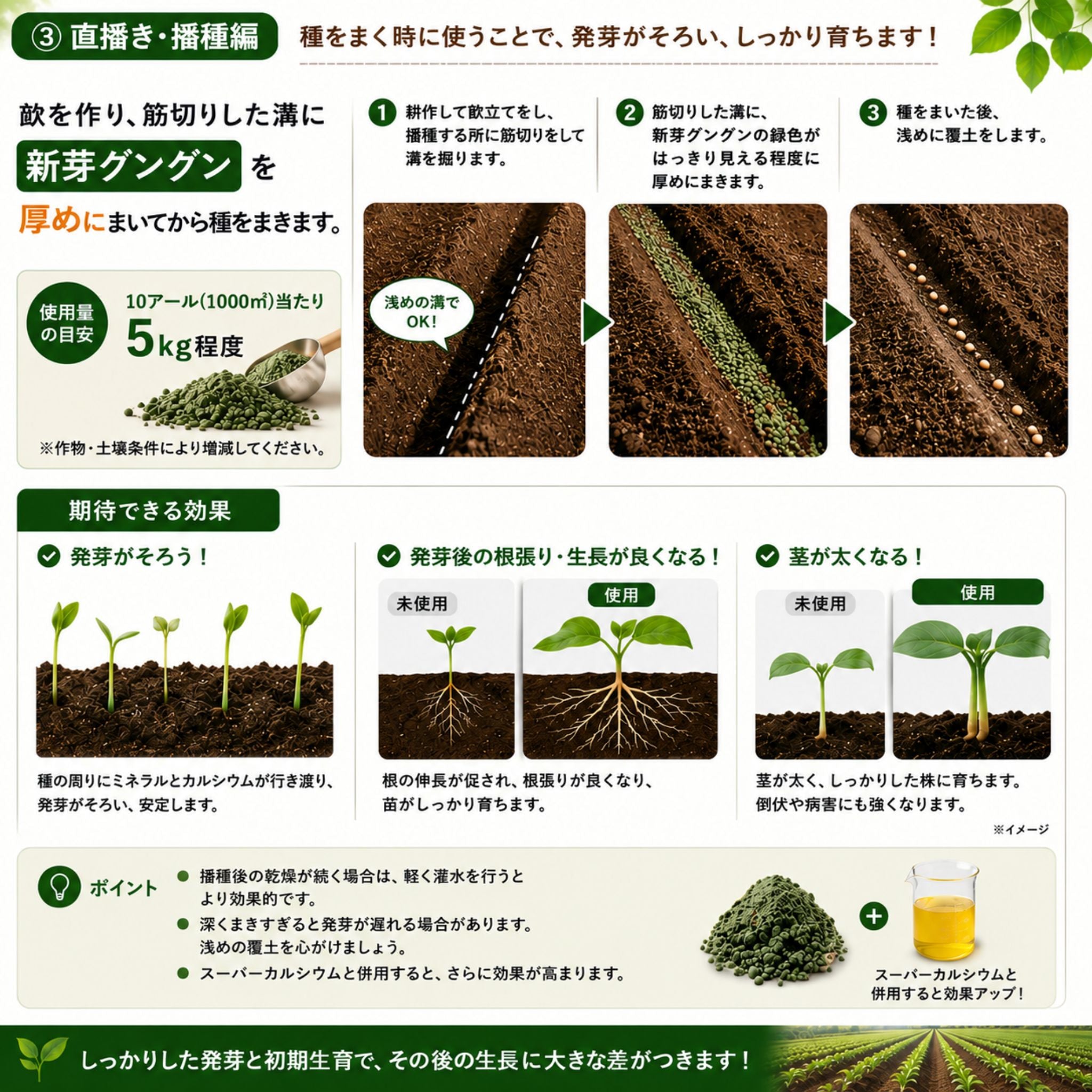 【予約商品】新芽グングン 5kg