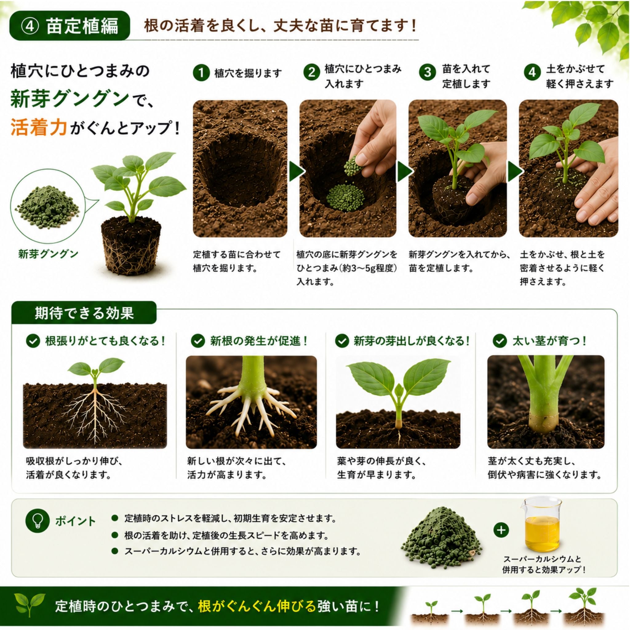 【予約商品】新芽グングン 5kg